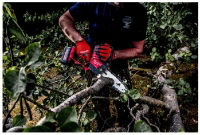 Milwaukee Pruning