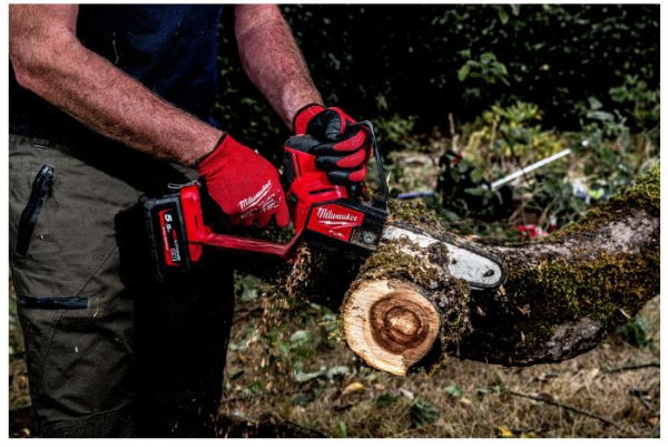 Milwaukee Pruning